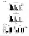 Fig. 33 - Macrocyclic lactones and uses thereof as modulators of purinergic receptors