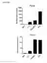 Fig. 35 - Macrocyclic lactones and uses thereof as modulators of purinergic receptors