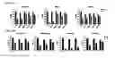 Fig. 41 - Macrocyclic lactones and uses thereof as modulators of purinergic receptors