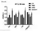 Fig. 46 - Macrocyclic lactones and uses thereof as modulators of purinergic receptors
