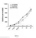 Fig. 06 - Combination therapy using ribavirin as elF4E inhibitor