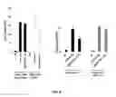 Fig. 07 - Combination therapy using ribavirin as elF4E inhibitor