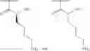 Fig. 137 - METHODS AND COMPOSITIONS FOR TREATING WOUNDS UTILIZING CHITOSAN COMPOUNDS