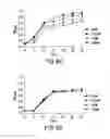 Fig. 08 - THERAPEUTIC NANOPARTICLES AND METHODS THEREOF