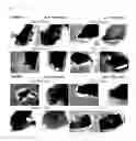 Fig. 07 - Bone formation promoter