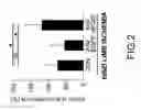 Fig. 03 - METHOD FOR INDUCING PRODUCTION OF VASCULAR ENDOTHELIAL GROWTH FACTOR