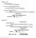 Fig. 04 - Targeted adenoviruses and methods of making, isolating, and using
