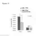 Fig. 43 - Targeted adenoviruses and methods of making, isolating, and using