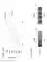 Fig. 44 - Targeted adenoviruses and methods of making, isolating, and using