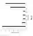 Fig. 04 - METHOD OF MAKING AN ADJUNCT TO POTENTIATE BLOCKING OF RIBOSOMAL FUNCTIONS IN TUMOR CELLS AND PREVENT BODY WEIGHT LOSS DURING CYCLOPHOSPHAMIDE CANCER THERAPY