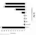 Fig. 07 - METHOD OF MAKING AN ADJUNCT TO POTENTIATE BLOCKING OF RIBOSOMAL FUNCTIONS IN TUMOR CELLS AND PREVENT BODY WEIGHT LOSS DURING CYCLOPHOSPHAMIDE CANCER THERAPY