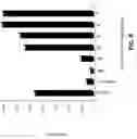 Fig. 08 - METHOD OF MAKING AN ADJUNCT TO POTENTIATE BLOCKING OF RIBOSOMAL FUNCTIONS IN TUMOR CELLS AND PREVENT BODY WEIGHT LOSS DURING CYCLOPHOSPHAMIDE CANCER THERAPY