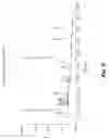 Fig. 11 - METHOD OF MAKING AN ADJUNCT TO POTENTIATE BLOCKING OF RIBOSOMAL FUNCTIONS IN TUMOR CELLS AND PREVENT BODY WEIGHT LOSS DURING CYCLOPHOSPHAMIDE CANCER THERAPY