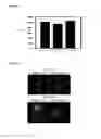 Fig. 07 - Method for preparing garlic-fermented composition and garlic-fermented composition prepared by same method