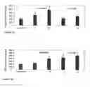 Fig. 08 - SHORT BETA-DEFENSIN-DERIVED PEPTIDES