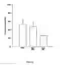 Fig. 07 - Composition and method for the treatment or prevention of spinal disorders