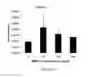 Fig. 30 - Composition and method for the treatment or prevention of spinal disorders