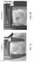 Fig. 06 - Methods and compositions for modulating immune tolerance