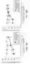 Fig. 22 - Methods and compositions for modulating immune tolerance