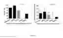 Fig. 28 - METHODS AND COMPOSITIONS FOR THE TREATMENT OF AMYLOIDOSIS
