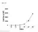 Fig. 02 - METHOD OF EXPANDING NK CELL AND COMPOSITION FOR CULTURING
