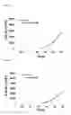 Fig. 04 - METHOD OF EXPANDING NK CELL AND COMPOSITION FOR CULTURING