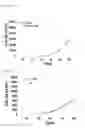 Fig. 05 - METHOD OF EXPANDING NK CELL AND COMPOSITION FOR CULTURING