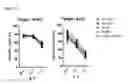 Fig. 06 - METHOD OF EXPANDING NK CELL AND COMPOSITION FOR CULTURING