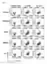 Fig. 07 - METHOD OF EXPANDING NK CELL AND COMPOSITION FOR CULTURING
