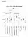 Fig. 32 - Vaccine composition and uses thereof