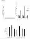 Fig. 02 - Dengue virus specific multiple HLA binding T cell epitopes for the use of universal vaccine development