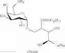 Fig. 37 - Amino sphingoglycolipid analogues