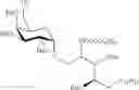 Fig. 47 - Amino sphingoglycolipid analogues