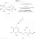 Fig. 48 - Amino sphingoglycolipid analogues