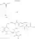 Fig. 68 - Amino sphingoglycolipid analogues
