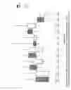 Fig. 09 - METHOD AND COMPOSITION FOR THE TREATMENT OF DISEASES CAUSED BY OR ASSOCIATED WITH HIV