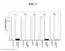 Fig. 09 - COMPOSITIONS AND METHODS FOR CHARACTERIZING, REGULATING, DIAGNOSING, AND TREATING CANCER