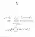 Fig. 02 - Ph-sensitive and bioreducible polymer-virus complex for cancer treatment