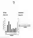 Fig. 35 - Ph-sensitive and bioreducible polymer-virus complex for cancer treatment