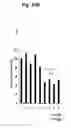 Fig. 40 - Ph-sensitive and bioreducible polymer-virus complex for cancer treatment