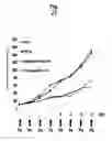 Fig. 41 - Ph-sensitive and bioreducible polymer-virus complex for cancer treatment
