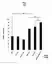 Fig. 45 - Ph-sensitive and bioreducible polymer-virus complex for cancer treatment