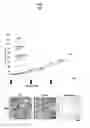 Fig. 49 - Ph-sensitive and bioreducible polymer-virus complex for cancer treatment
