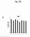Fig. 53 - Ph-sensitive and bioreducible polymer-virus complex for cancer treatment