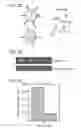 Fig. 05 - REFILLABLE DRUG DELIVERY DEVICES AND METHODS OF USE THEREOF