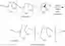 Fig. 265 - TERMINALLY MODIFIED POLYMERS AND CONJUGATES THEREOF