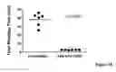 Fig. 19 - Liver-specific constructs, factor VIII expression cassettes and methods of use thereof
