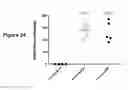 Fig. 25 - Liver-specific constructs, factor VIII expression cassettes and methods of use thereof