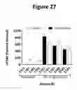 Fig. 28 - Liver-specific constructs, factor VIII expression cassettes and methods of use thereof