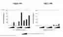 Fig. 40 - Liver-specific constructs, factor VIII expression cassettes and methods of use thereof